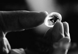 河南安阳曹操墓再度引关注：曹操口含稀世翡翠珠（图）